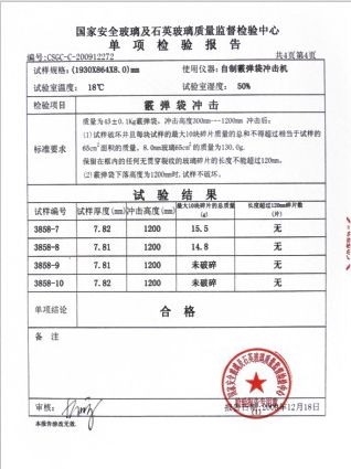 霰弹袋冲击检验报告